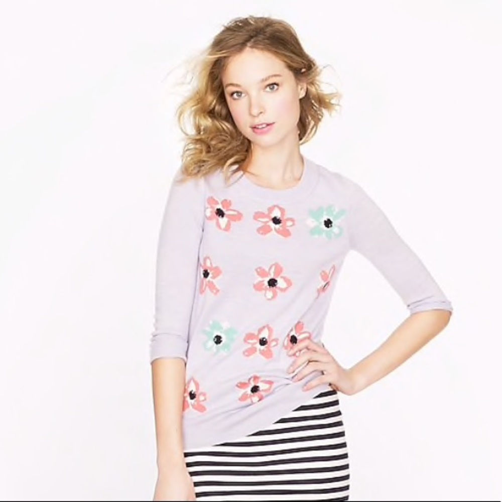 J Crew Tippi Sweater